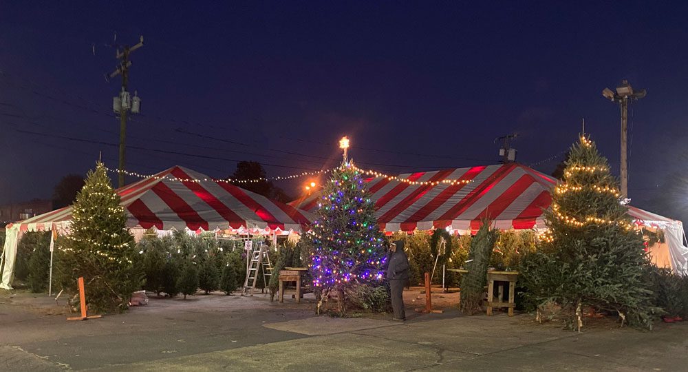 Charlottesville Christmas Trees